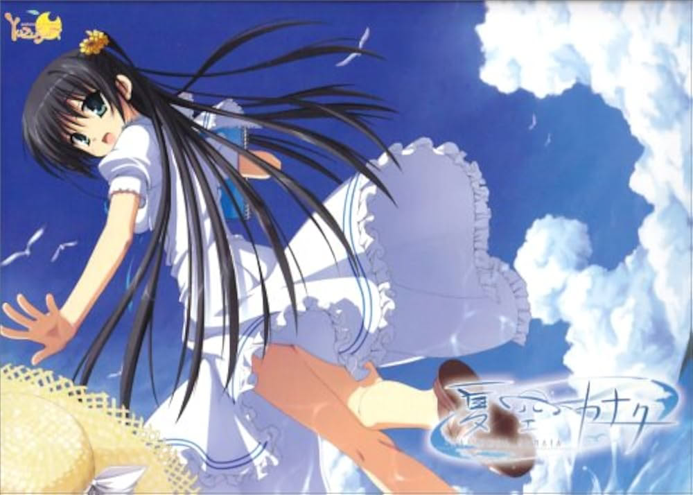 夏空彼方封面图片