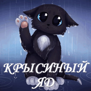 Krysiny Yad