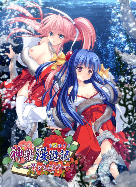 VNDB cover