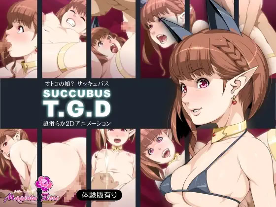 SUCCUBUS T.G.D cover
