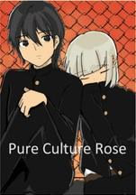 Pure Culture Rose