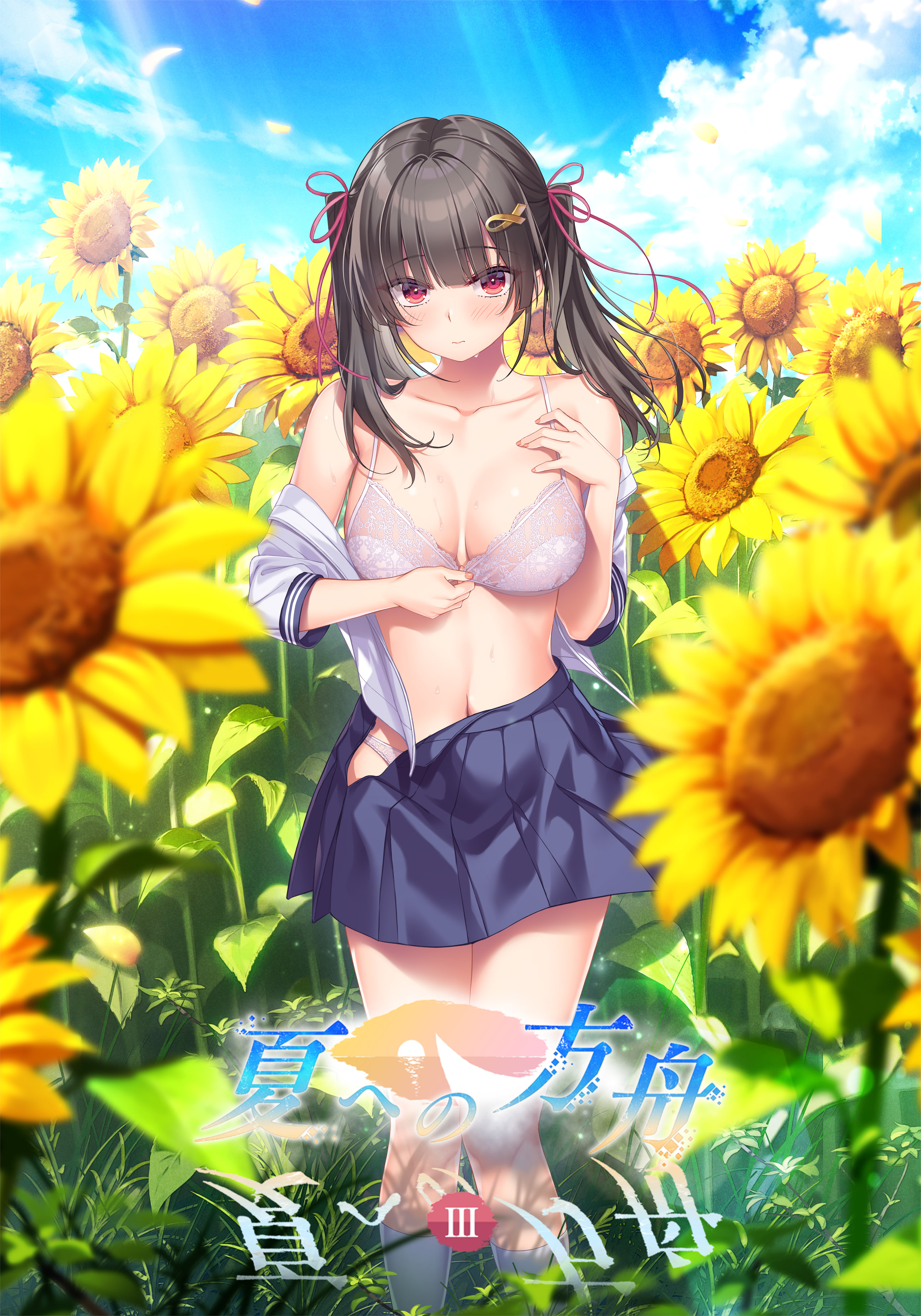Natsu e no Hakobune III cover