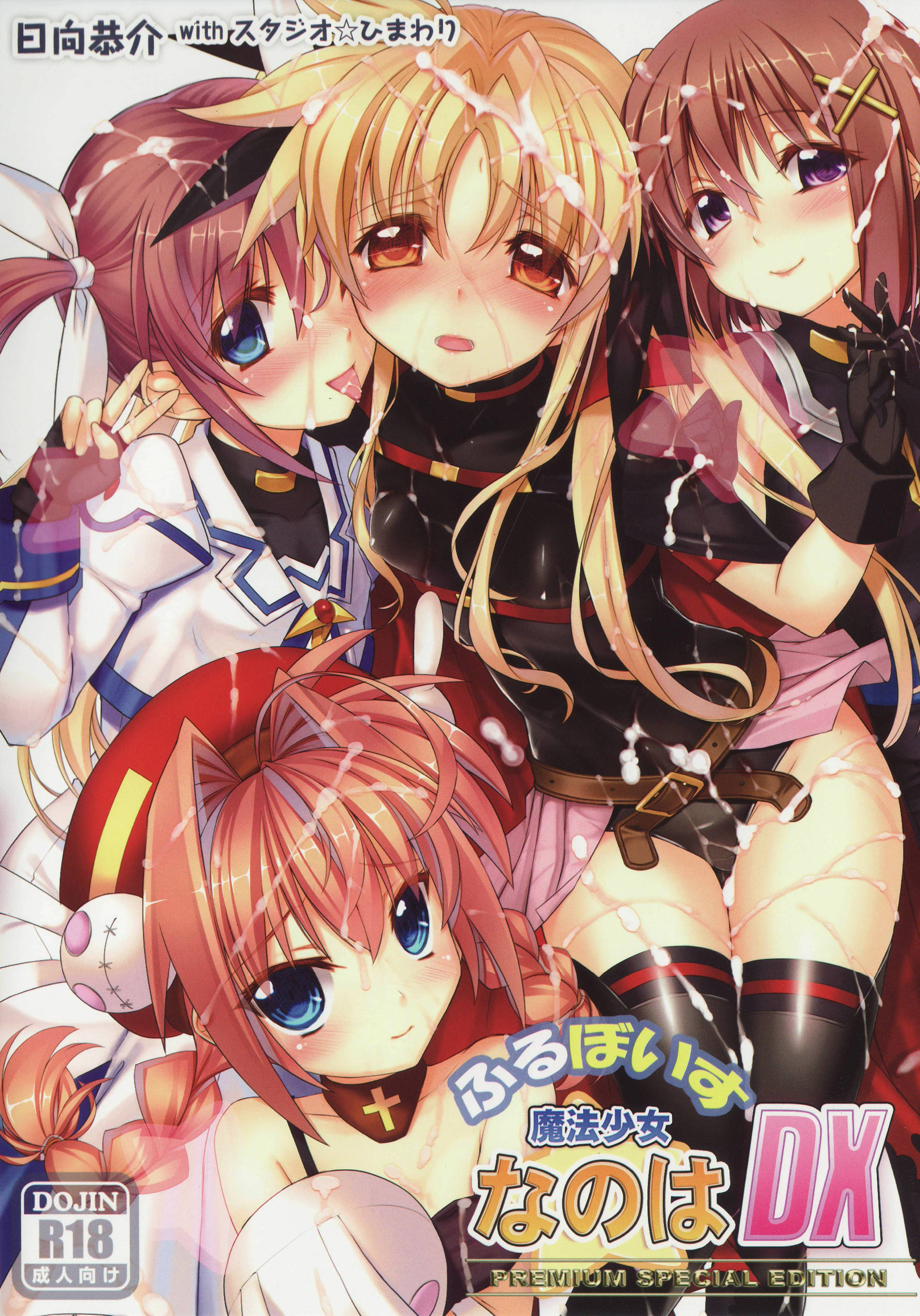 Mahou Shoujo Nanoha DX cover
