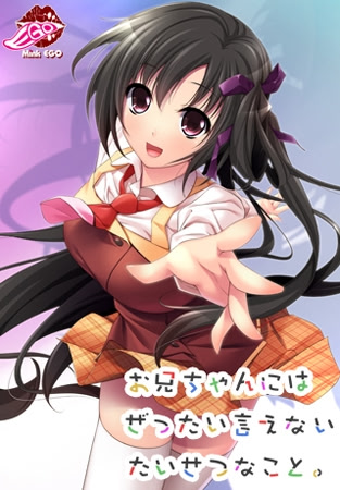 Onii-chan ni wa Zettai Ienai Taisetsu na Koto. cover