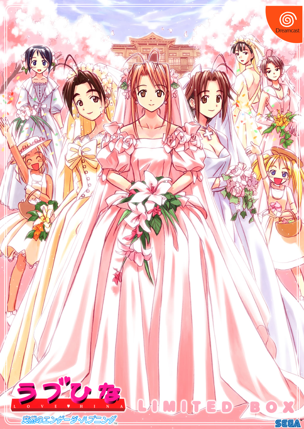 Love Hina: Totsuzen no Engage Happening