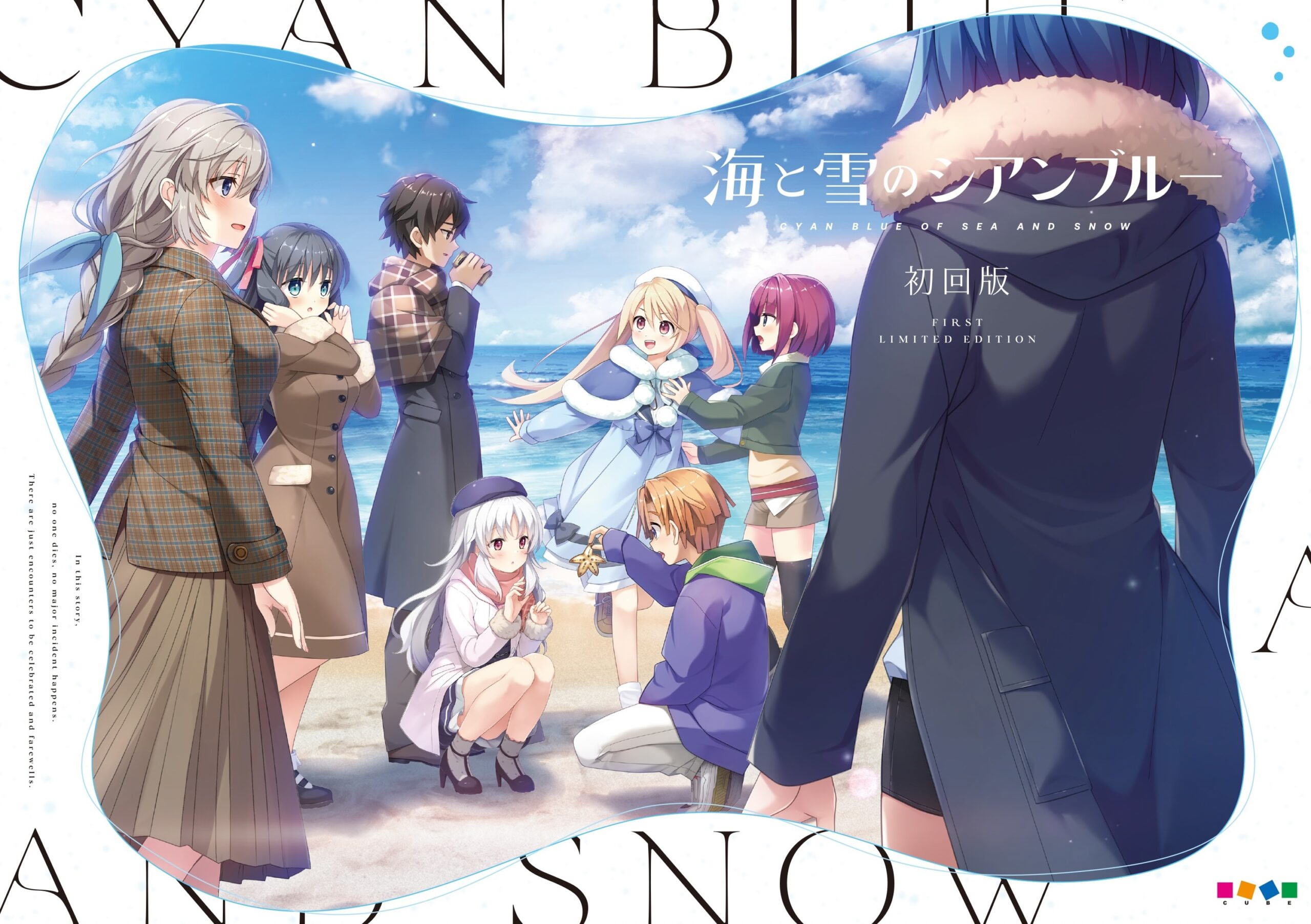 海与雪的青蓝色封面图片