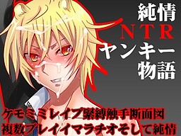 Junjou NTR Yankee Monogatari