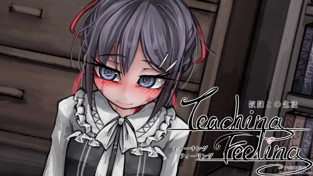 Dorei to no Seikatsu -Teaching Feeling-