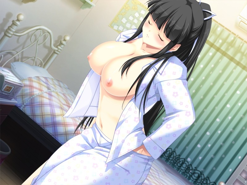 Jitaku Keibiin screenshot 9
