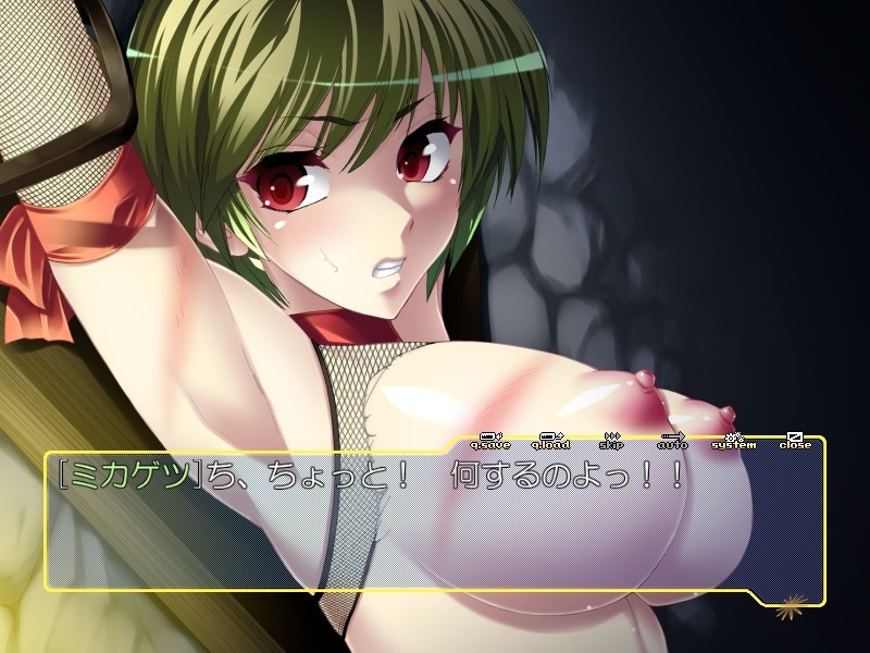 Kunoichi Mikagetsu In'yuuki Jinmon Hen screenshot 2