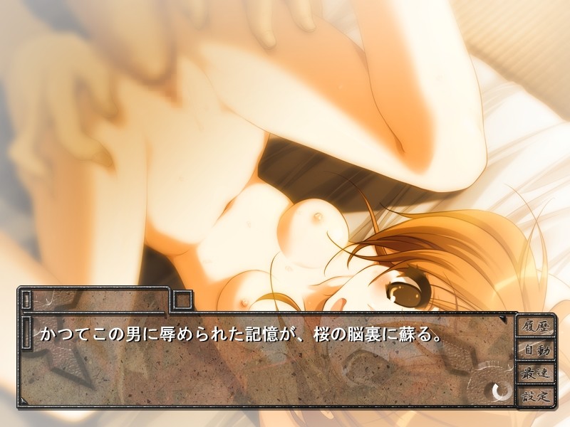 Biribiri Panic Lolikko Kunoichi Midara Ninpouchou screenshot 3