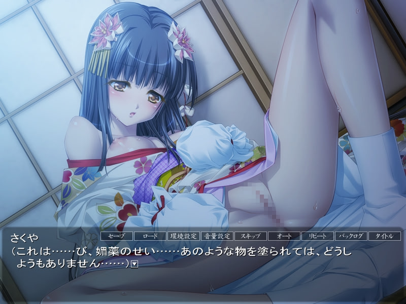Niehime -Sengoku Kanraku Emaki- screenshot 3