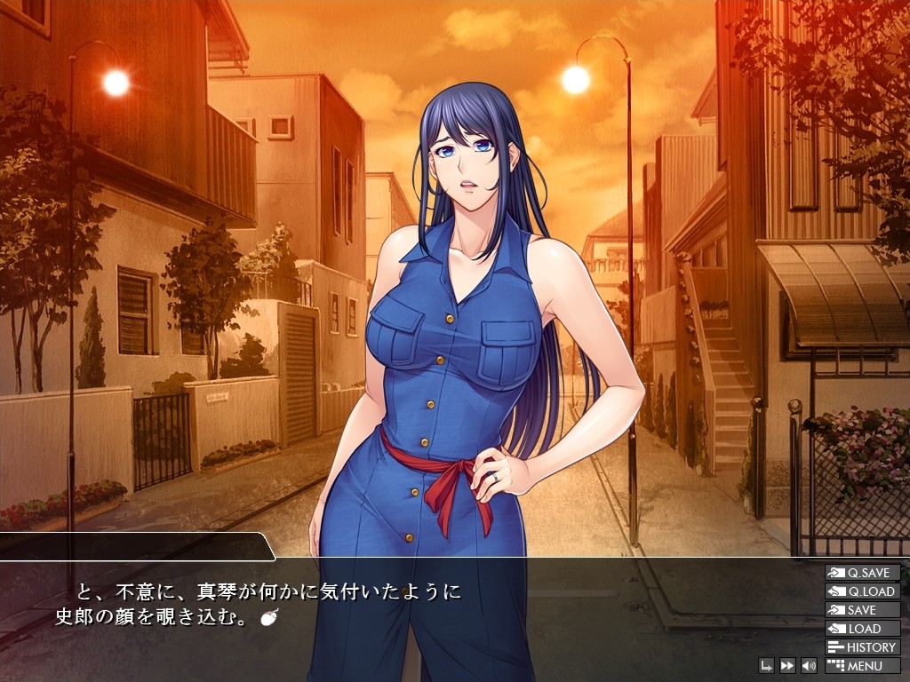 Tsuma Netori ~Onnakyoushi no Choukyou Nisshi~ | vndb