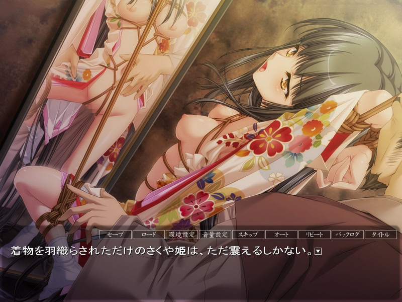 Niehime -Sengoku Kanraku Emaki- screenshot 4