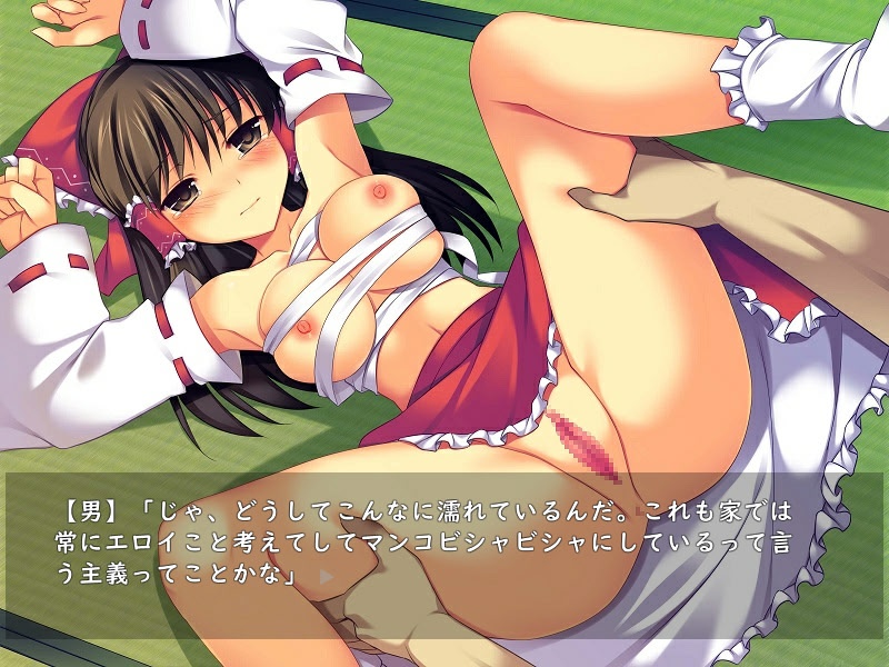 Touhou Ryoukoku SP screenshot 5