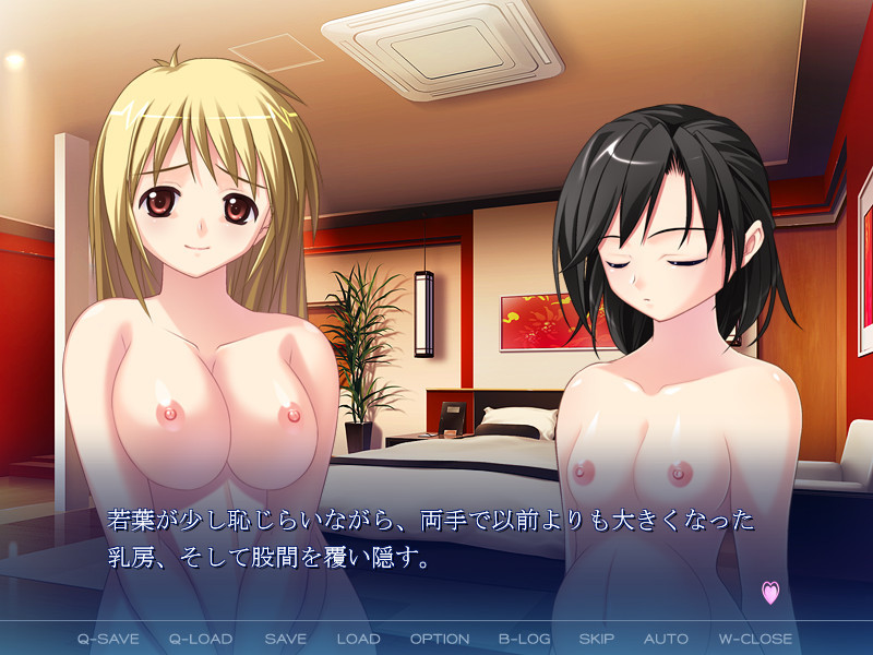 Futa Ane Hs ~Wakaba to Ayame no Love Ero Monogatari~ screenshot 7