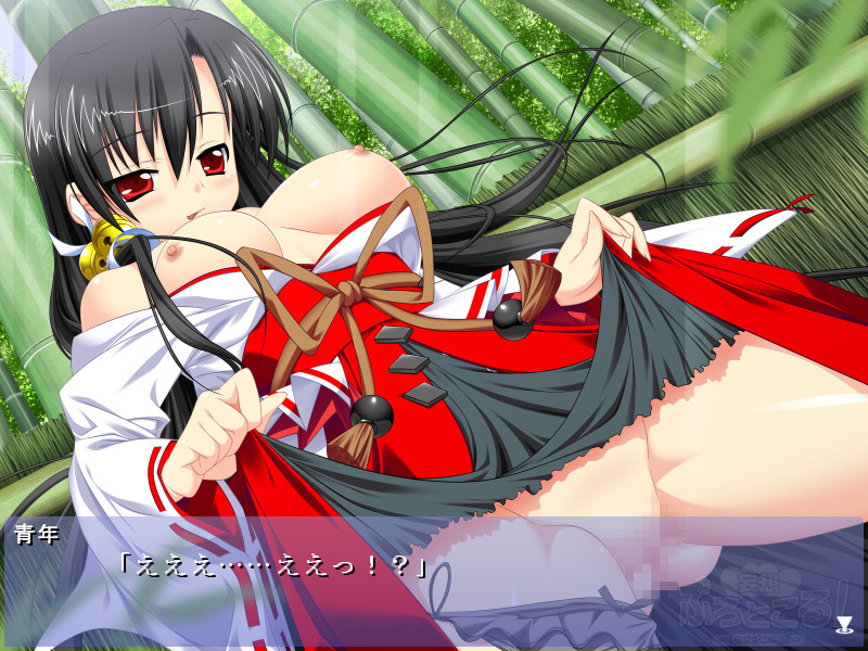 Mousou Protocol! -Hime x Miko x Robot- screenshot 7