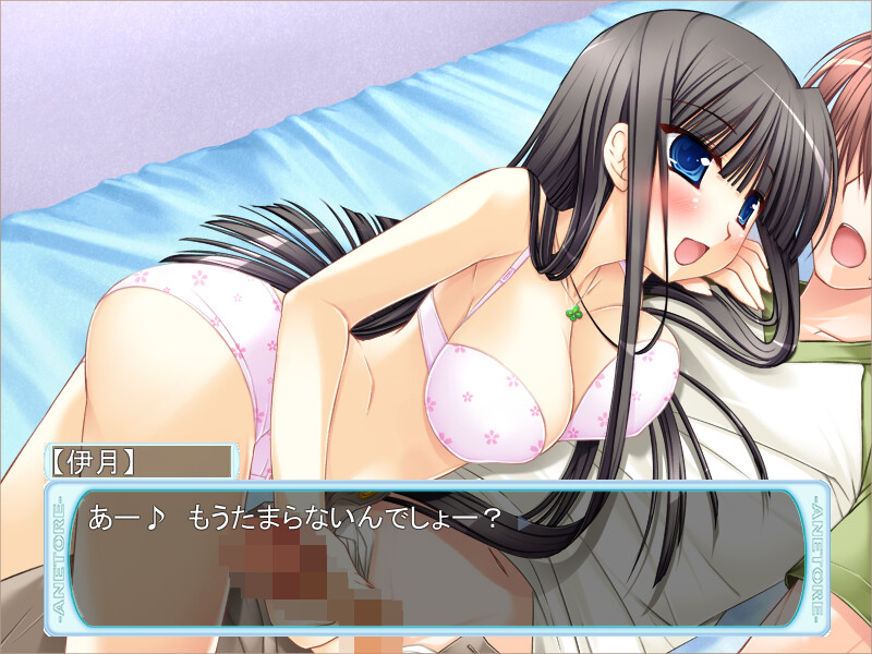 AneTra! ~Onee-chan to H na Training~ screenshot 4