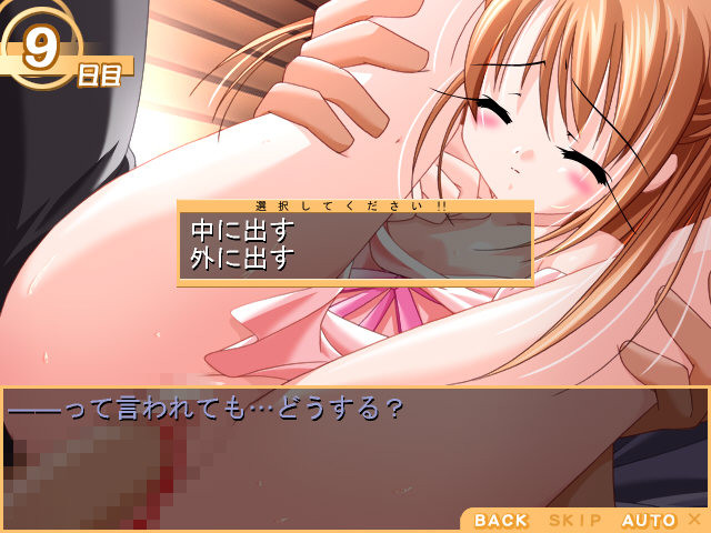 Imouto Jiru screenshot 1
