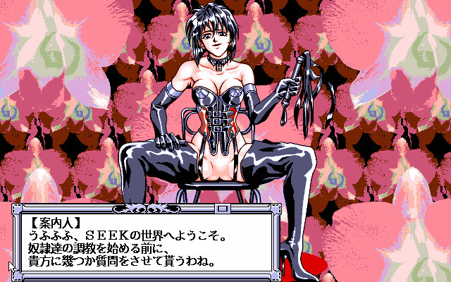 Seek ~Chikashitsu no Mesu Dorei-tachi~ screenshot 2