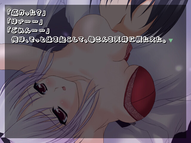 CAROL screenshot 9