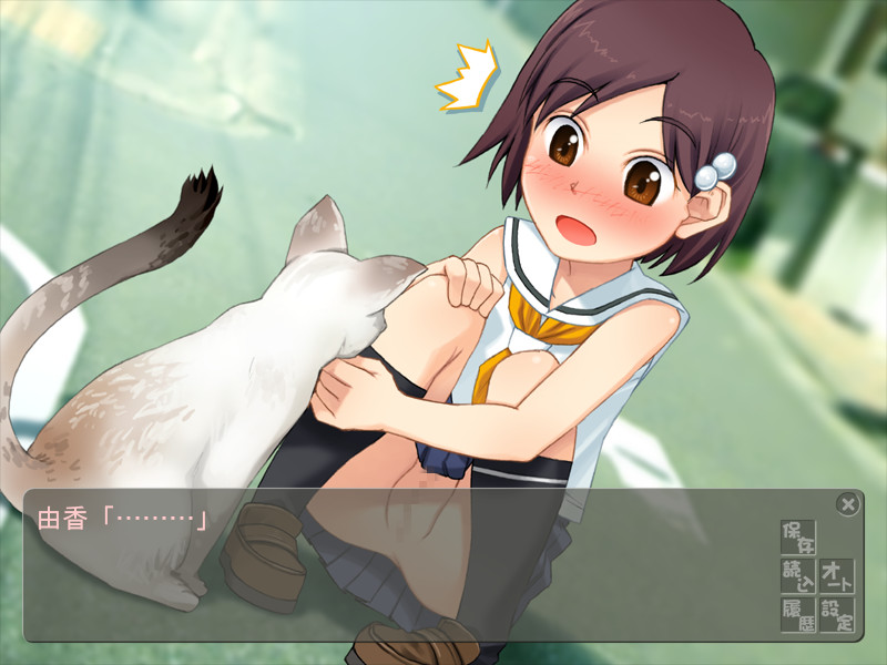 Hakiwasure Aikoukai screenshot 7