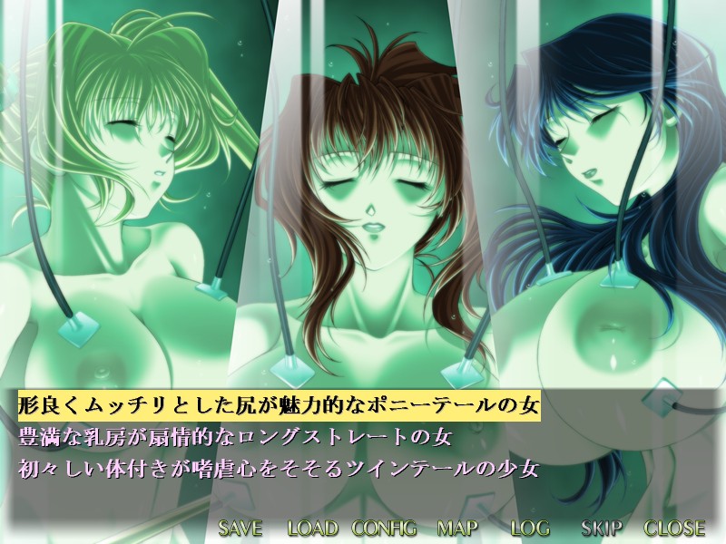Ryoushuu ~Kinki no Mesuniku Jikken Chousho~ screenshot 1