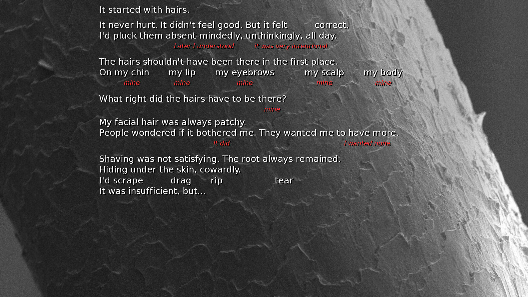 it-started-with-hairs-vndb