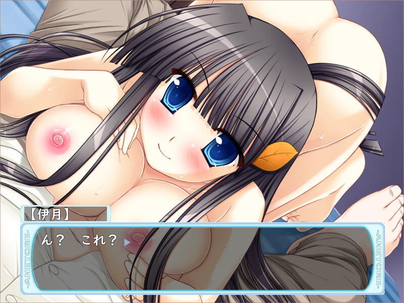 AneTra! ~Onee-chan to H na Training~ screenshot 9